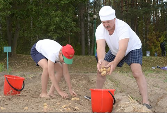Кремль готовит троянскую картошку для Прибалтики: проект Витебская Народная Республика